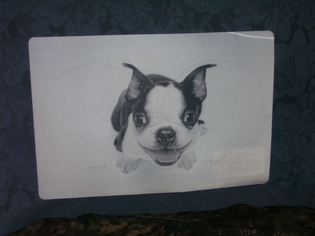 DOG FEEDING PLACE MAT BOSTON TERRIER CLEAR PLASTIC 3D DESIGN NEW