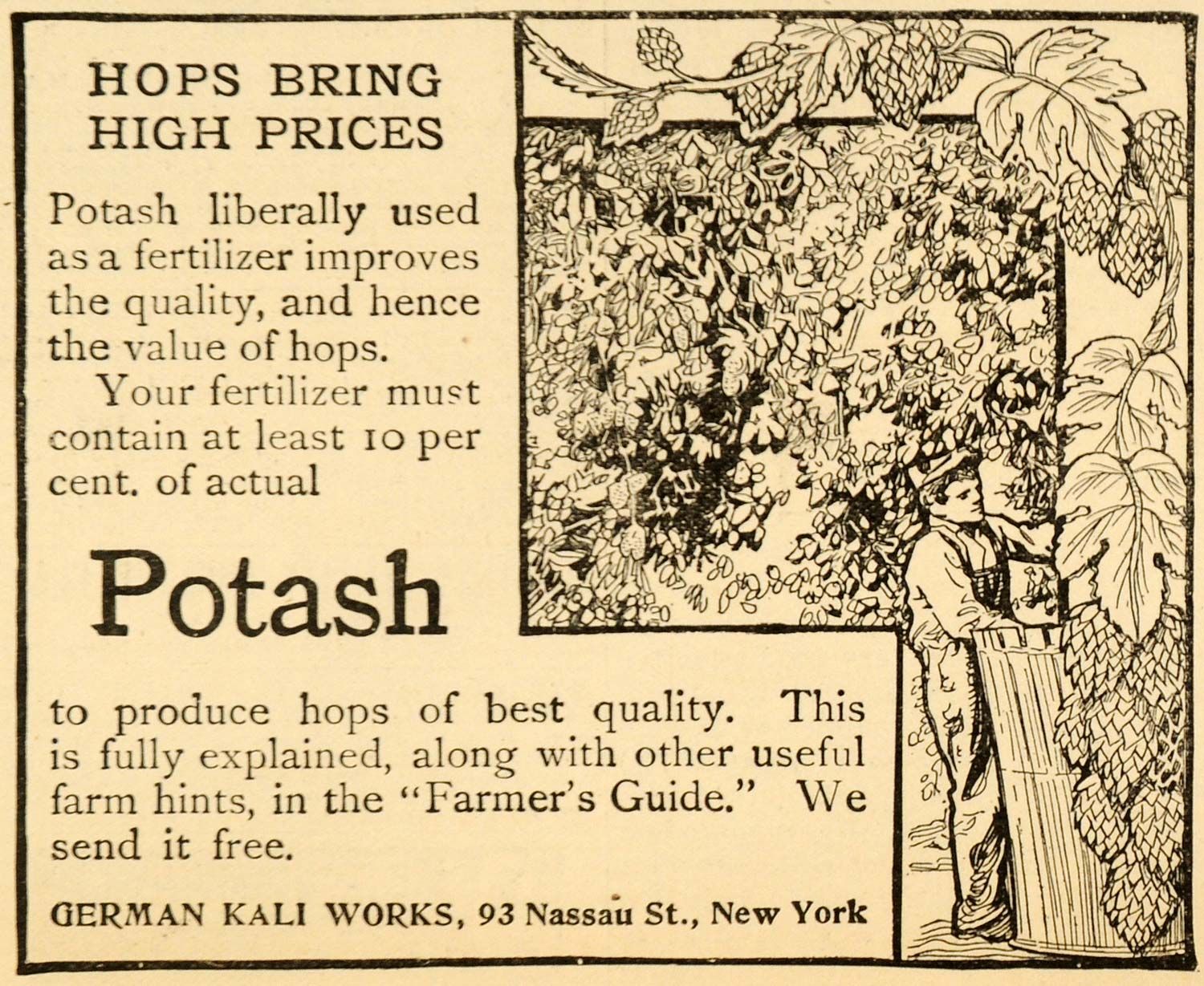  ad hops potash fertilizer german kali works farm original advertising