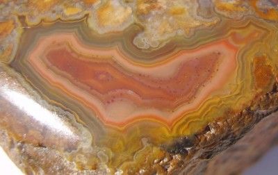 SOUTH DAKOTA FAIRBURN AGATE NODULE with MULTIPLE PATTERNS SD