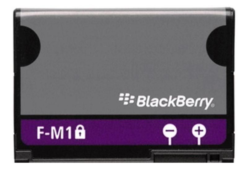 Blackberry Style 9670 Pearl 9100 9105 3G F M1 FM1 Battery BAT24387004
