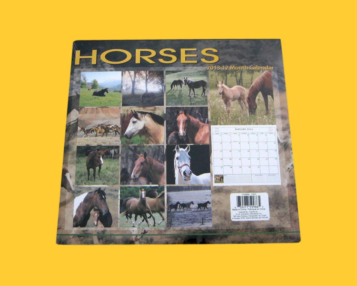 Horses 2013 12 Month CALENDAR NEW SEALED