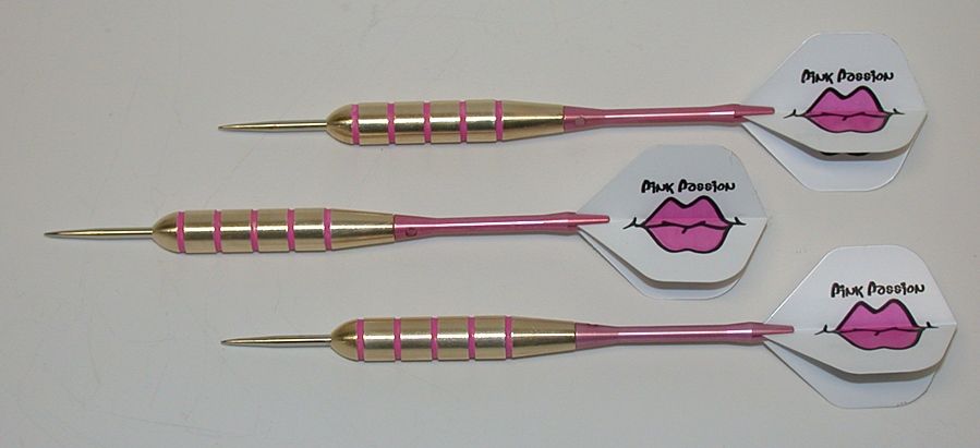  26 Gram Steel Tip Darts for The Ladies EX Flights Shafts 4BIN