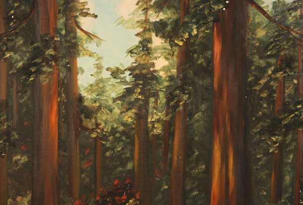  Old Oil Painting Giant Big Redwood Trees Signed Arnold Coleman