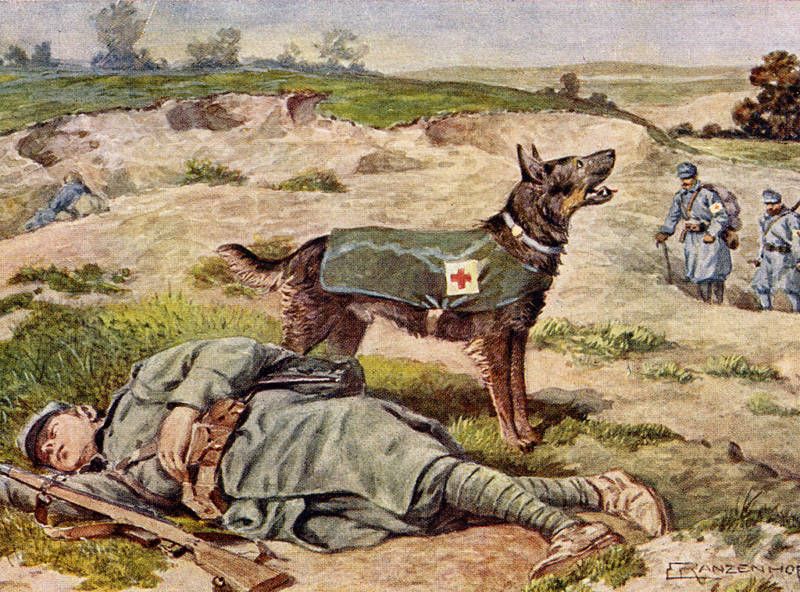 German Shepherd Rescue War Dog Lovely Little Dog Print