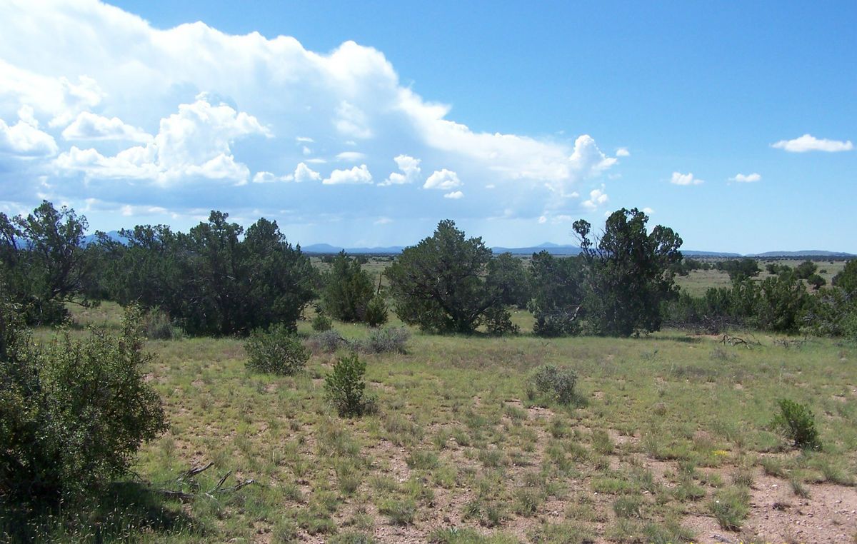 Grand Canyon Area Land Cheap