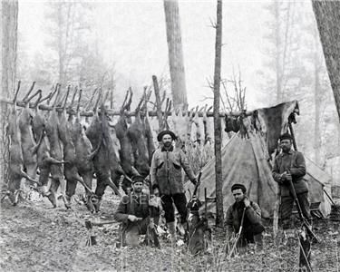  Hunting Camp Photo ~ Thirteen Deer Five Jack Rabbits Six Grouse