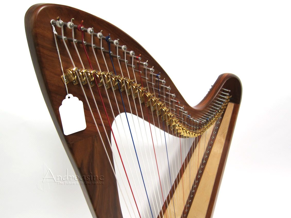 NEW PRO QUALITY 52 CHRISTEL FLOOR HARP 38 STRING EMS ROUND BACK ~ 3