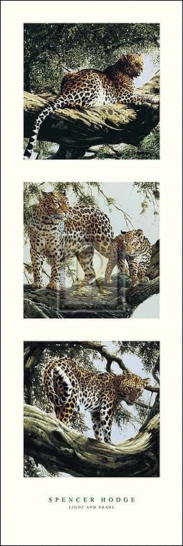 Spencer Hodge Light and Shade I Leopards Trees Print