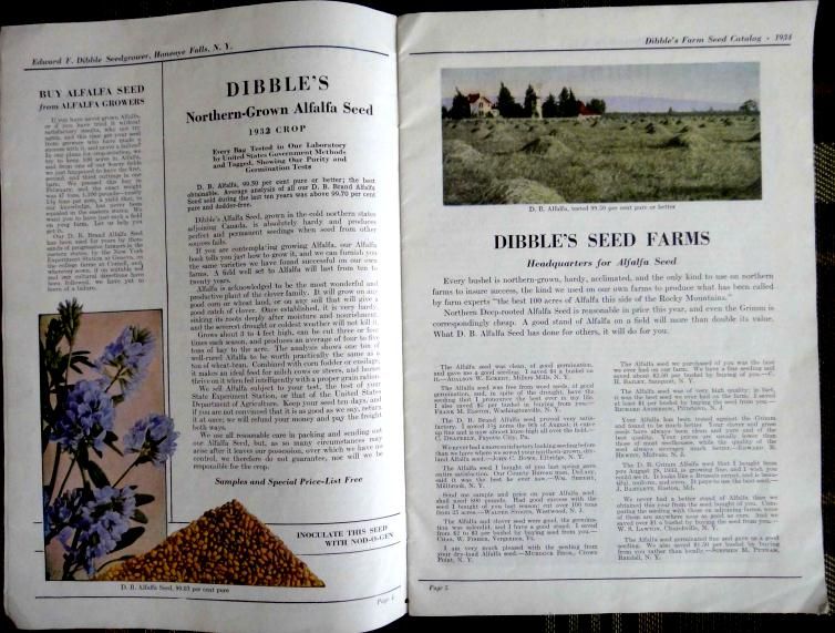 1934 Vintage Dibbles Seed Catalog enV Honeoye Falls NY