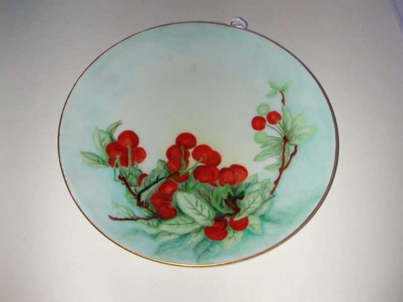 Bavaira Thomas Hand Painted Plate Signed C Howard