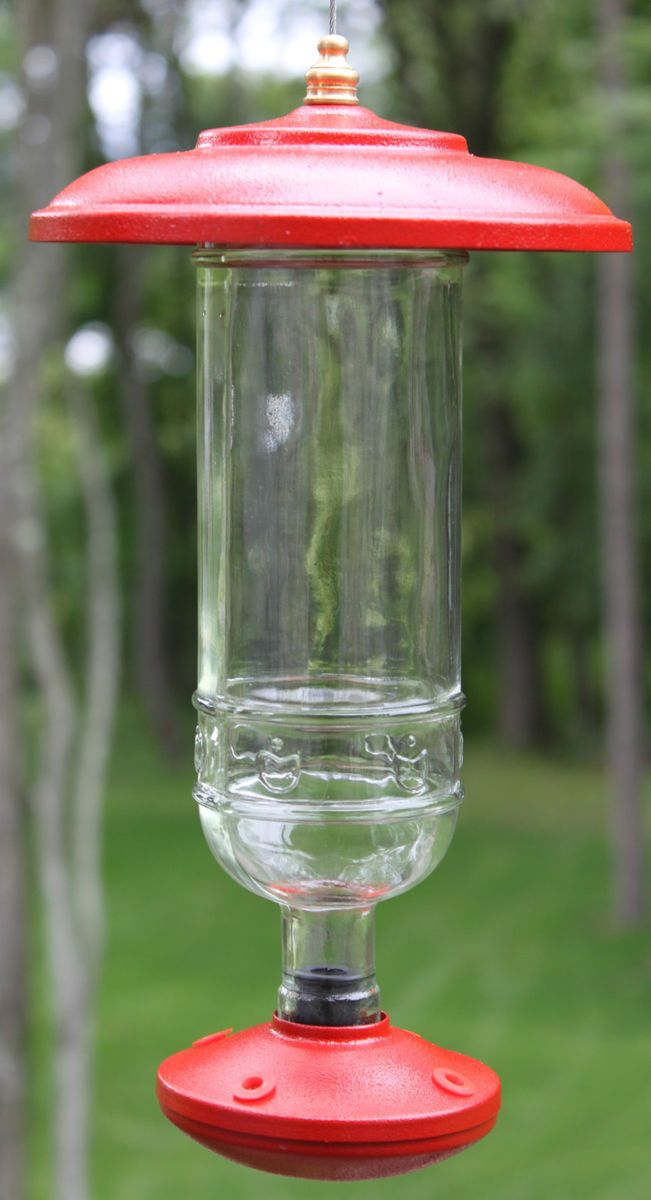 Hummingbird Feeder ~ Top Quality ~ Drip Resistant ~ Bee Proof ~ Glass