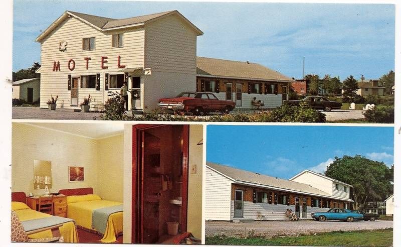 White Swan Motel St Stephen NB T J ONeill Postcard