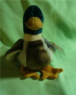 Retired Ty Beanie Jake The Mallard Duck Mint