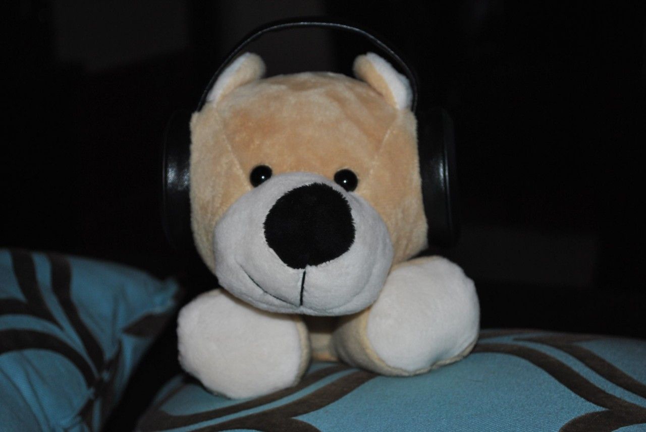 Iflops Brown Teddy Bear Plush Speakers iPod  12