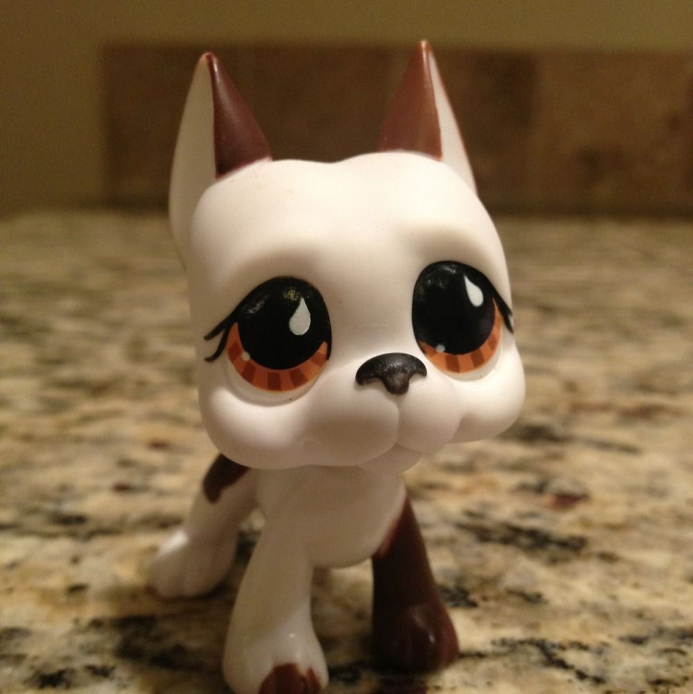 Littlest Pet Shop LPS 750 RARE Brown White Great Dane Dog