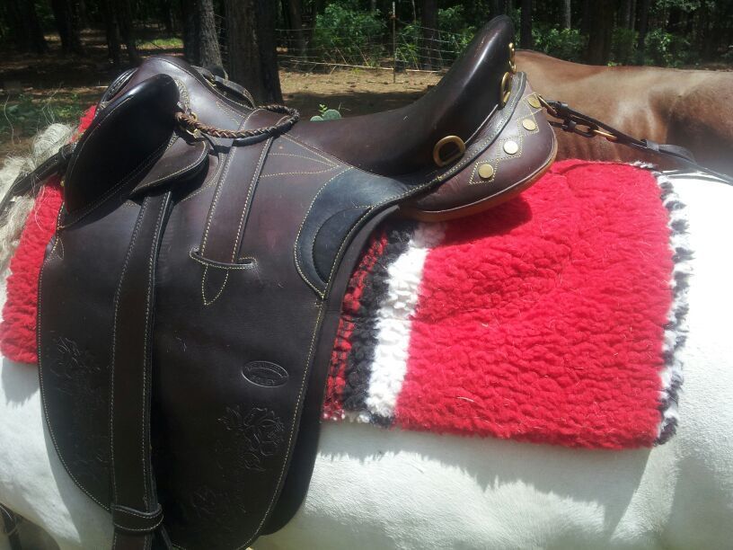 Kimberly Poley Aussie Saddle