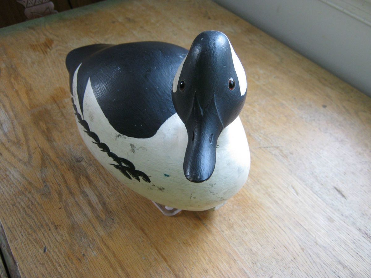 Bufflehead Decoy Carved by Thomas Langan