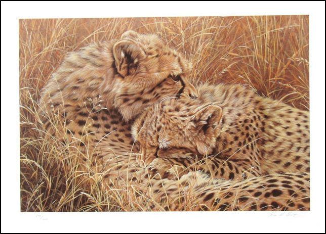 Alan Hunt British Love Bites Leopards Signed Lithograph Art
