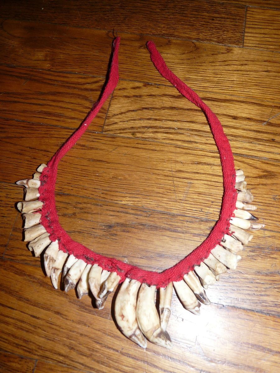 Urarina Peru  Indian Shaman Tooth Necklace