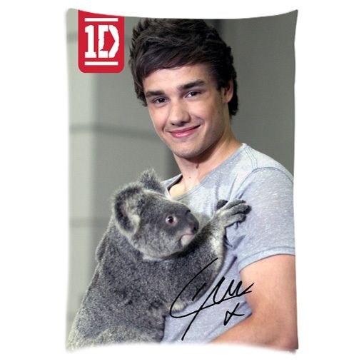 One Direction 1D Liam Payne Autograph Signature Siggy Pillow Case