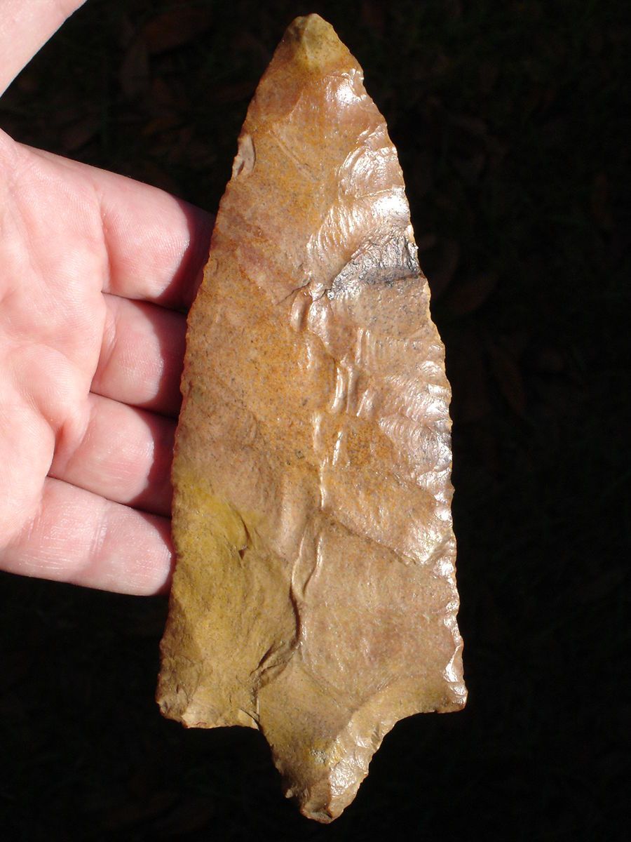 Florida Georgia Alabama Marion Arrowhead