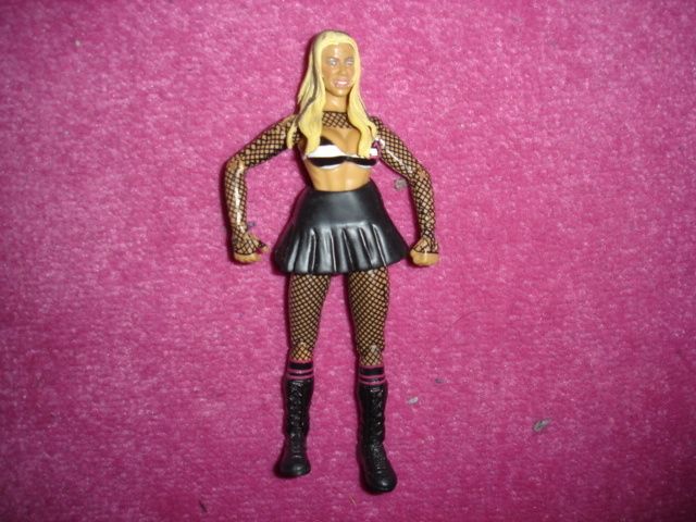 ASHLEY MASSARO DIVAS WOMEN ACTION TOY WWE WRESTLING FIGURE JAKKS