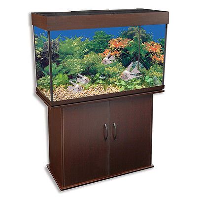 Delta Queen 29 gallon Aquarium and Stand   Delta Queen 29 Gallon