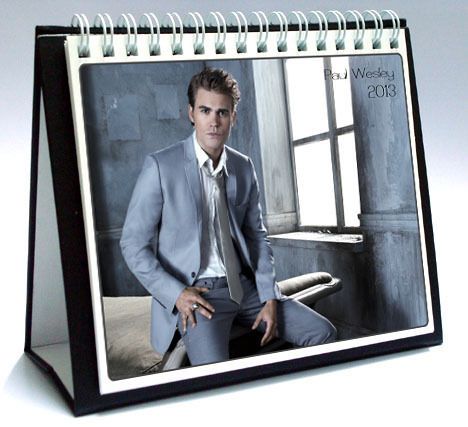 PAUL WESLEY 2013 Desktop Holiday Calendar THE VAMPIRE DIARIES Stefan