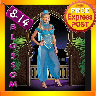 E00 Arabian Genie Aladdin Fancy Dress Up Costume Ladies