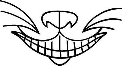 Cheshire Cat Grin Vinyl Decal Car Truck Sticker 1