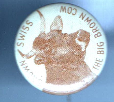 Vintage pin Brown Swiss pinback the Big Brown COW button