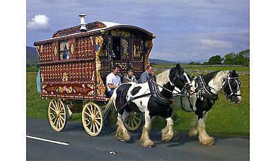 Print 09 Romany Gypsy Caravan Appleby Fair Red Burton Wagon Vanner