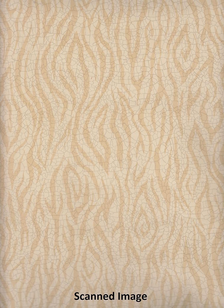 Animal Print Wallpaper/ Zebra Faux Sidewall / Cream Gold Background