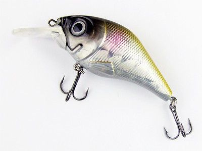 fishing lures