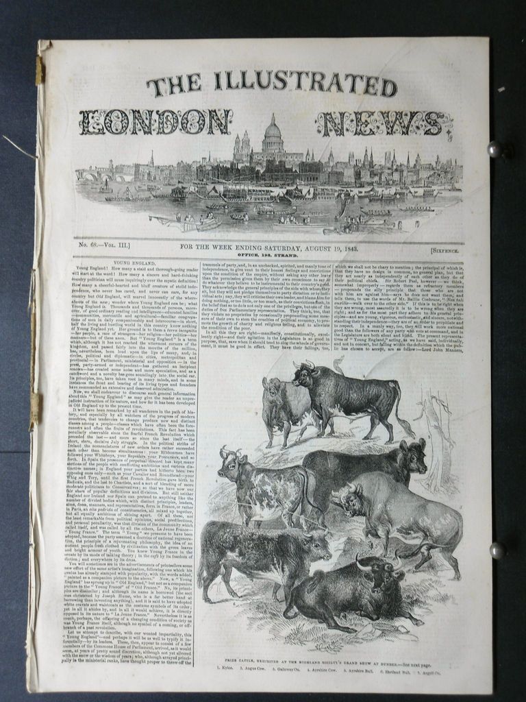 1843 ILLUSTRAT ED LONDON NEWS  war in spain,zurbano guerilla cavalry