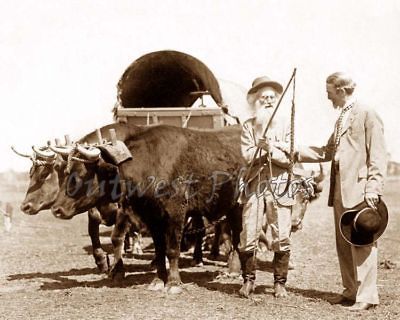 MEEKER COVERED WAGON OXEN   COWBOY TEX COOPER 101 RANCH SHOW PHOTO