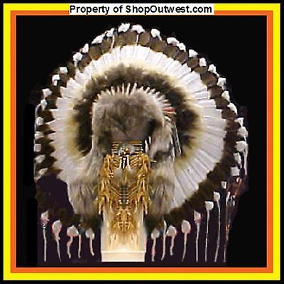 blackbird native american  9 41 