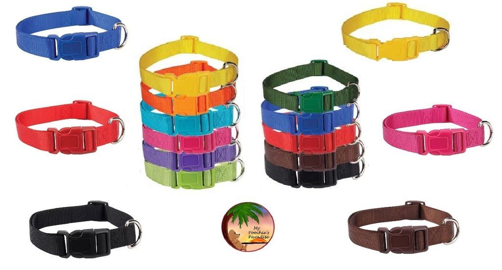 Brite Color Nylon Collars for Dogs   11 Fun Colors, 4 Sizes  Bright