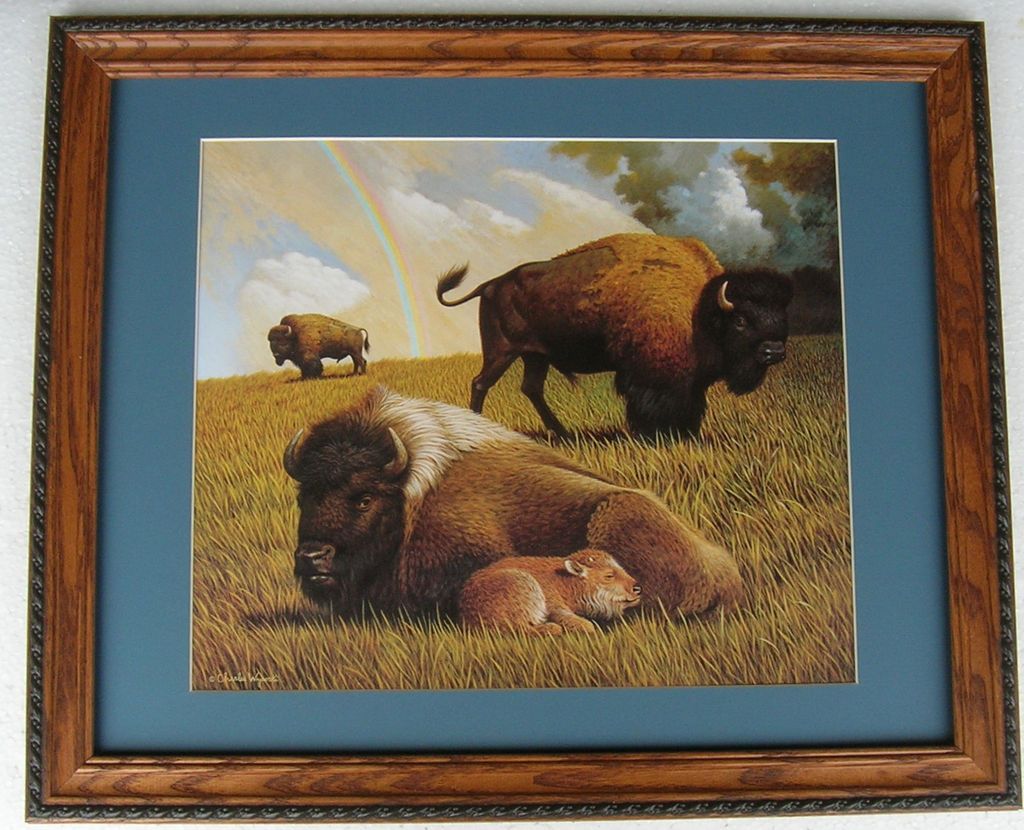 Wysocki Symbols of The American West Buffalo Framed Country Picture