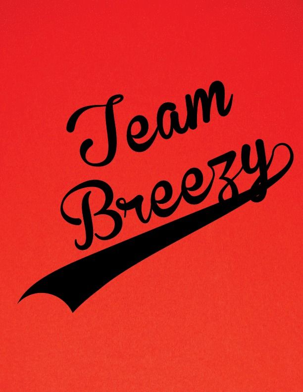 TEAM DRAKE TEAM BREEZY CHRIS BROWN T SHIRT S M L XL XXL 3XL 11 COLORS