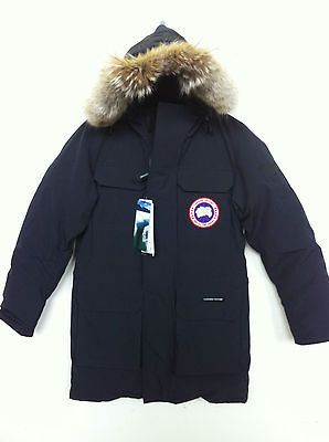 canada goose down