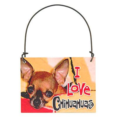 chi chi chihuahua