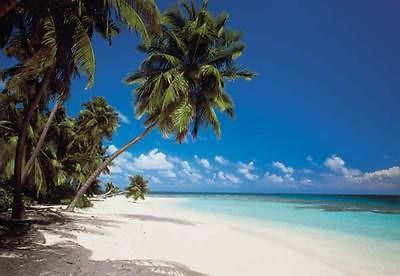 Photo Wallpaper MALEDIVES wall mural 388x270cm Beach and sea view