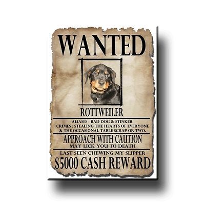 ROTTWEILER Wanted Poster FRIDGE MAGNET New DOG ROTTIE