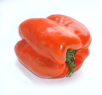 Quadrato Rosso D Asti Pepper Seeds   30