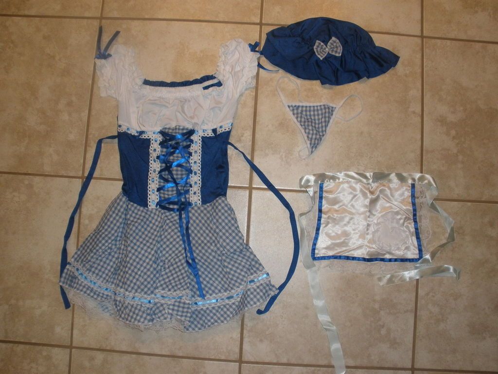 PIECE SEXY NAUGHTY SWEDISH WENCH HALLOWEEN COSTUME SMALL FREE SHIP