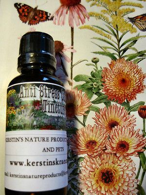 ANTI STRESS TINCTURE (WITH DAMIANA, WILD LETTUCE, SKULLCAP, LEMON BALM