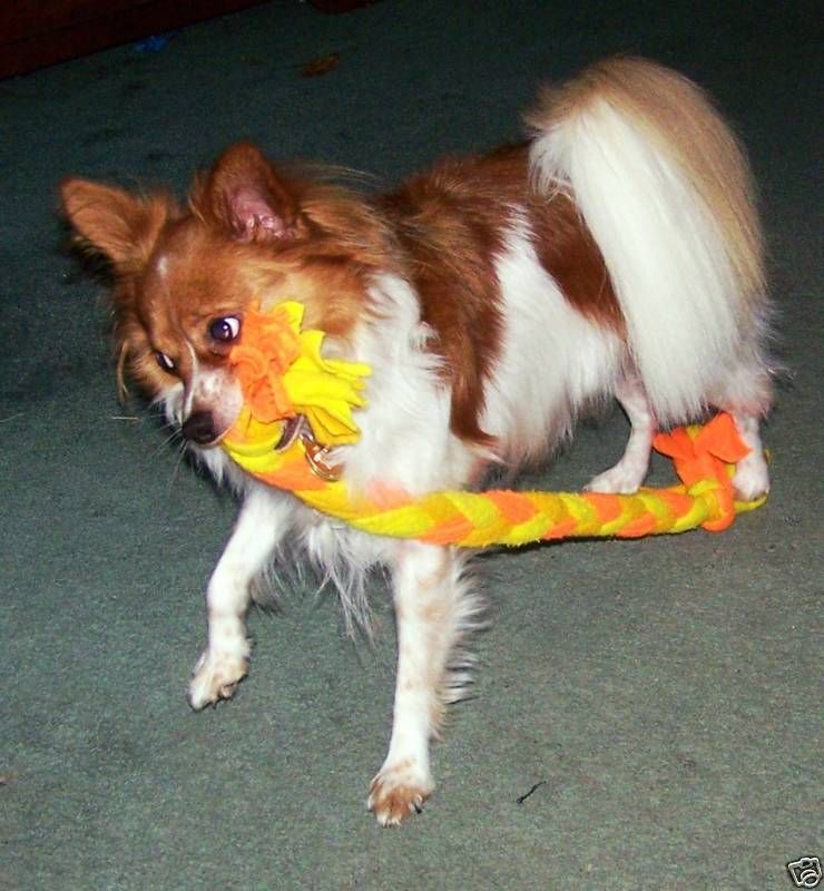 HANDMADE BRAIDED DOG PULL TOYS