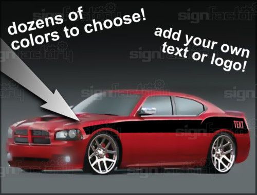 06 07 08 09 2010 Dodge Charger Side Stripe Decal CUSTOM