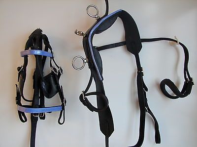 Smashing PURPLE BLUE Mini shetland Pony Driving Harness Cart Leather